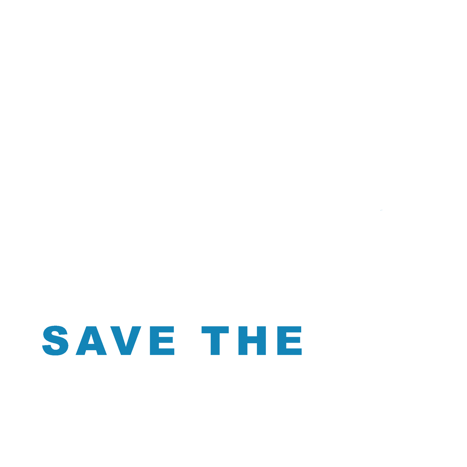 Save the Nile logo